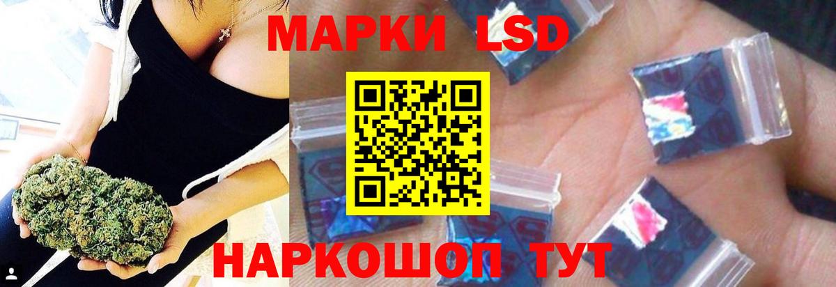 МЕФ Сланцы