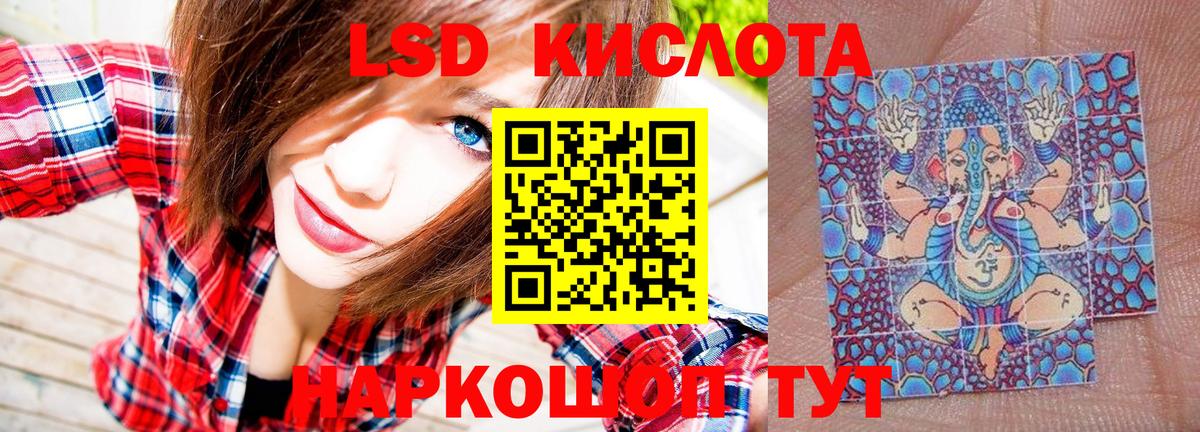дарнет шоп  Марки N-bome 1,8мг  Вход с VPN  Сланцы 