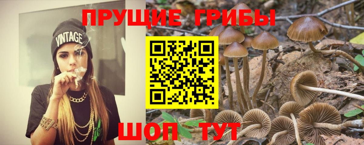 хочу наркоту  Вход с VPN  Псилоцибиновые грибы Cubensis  Сланцы  Галлюциногенные грибы MAGIC MUSHROOMS 